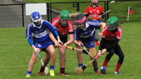 Camogs advance in U14 Championship