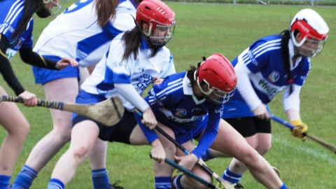 Senior Camogs off to a winning start