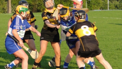 Camogs march on!