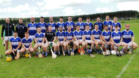 Gallant effort from senior hurlers