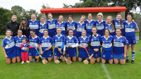 Camogs reach Intermediate Final