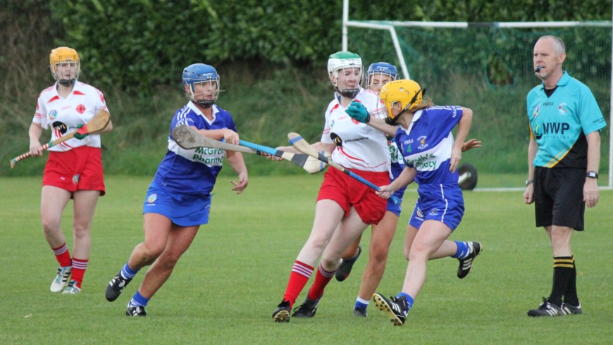 Camogs unlucky in Ulster final