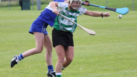 Senior camogs battle to the end